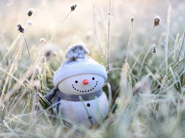 Houten Rendier en Sneeuwpop: Winterwonderland op je Balkon