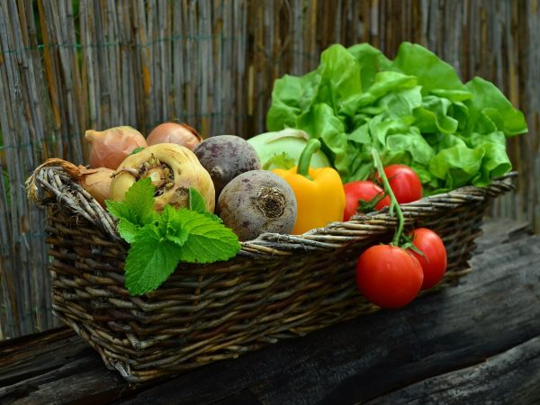Van tuin naar tafel: ontwerp je eigen tuinkas voor verse groenten